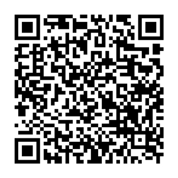 Syllit-Max-QRcode-ES-00390